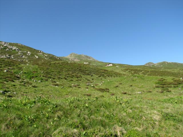 die Alphütte Säss 2085 m.ü.M.