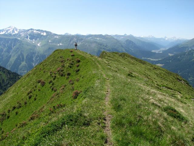 einfach super schön. Mäusi bestaunt die Aussicht