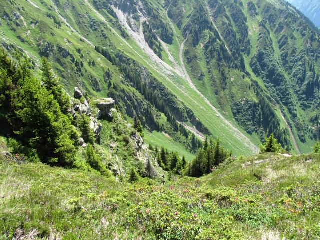 Tiefblick bei Punkt 2233 m.ü.M. in die steilen Hänge von Tal