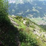 sieht gefährlicher aus als es ist