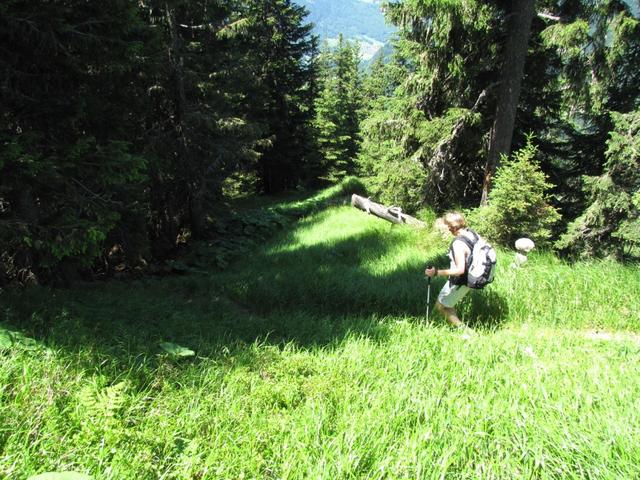 durch hohes Gras führt der Weg relativ steil runter