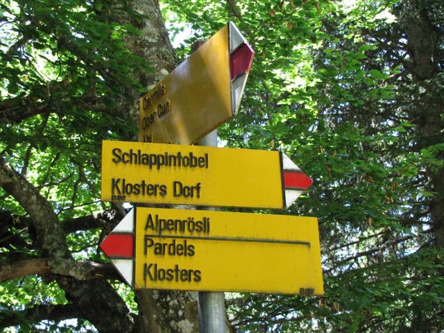 Wegweiser im Nüwald 1551 m.ü.M. unser Ziel das Alpenrösli