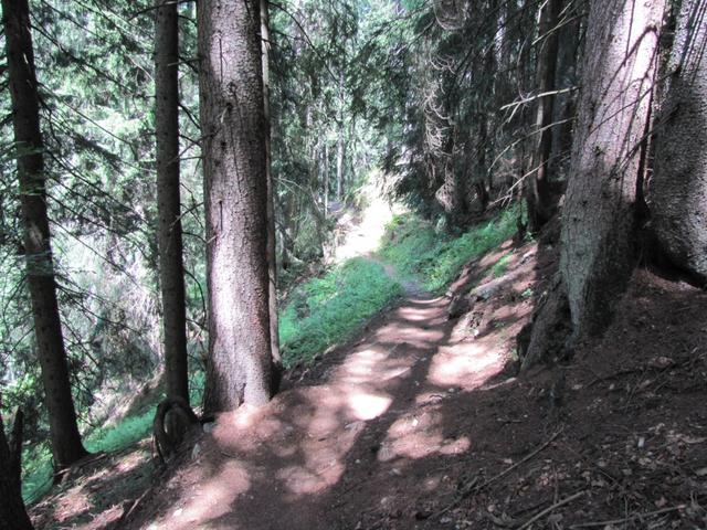 steil führt der Waldweg runter ins Schlappintobel