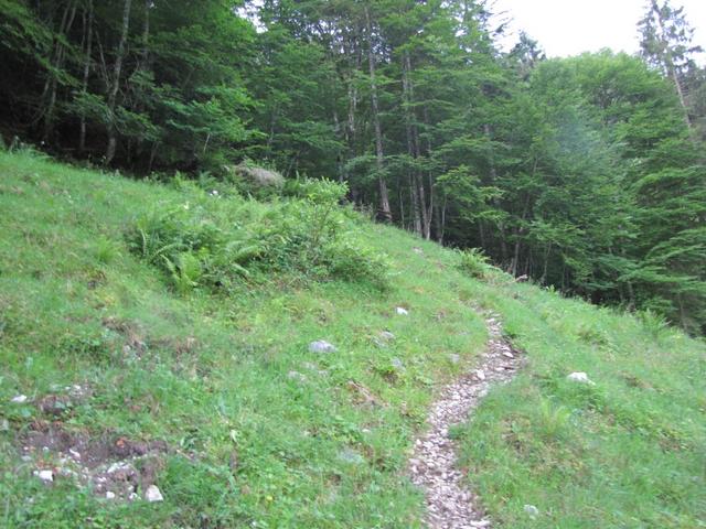 steil führt der Pfad von der Strasse aufwärts. Steil wid der ganze Weg bleiben