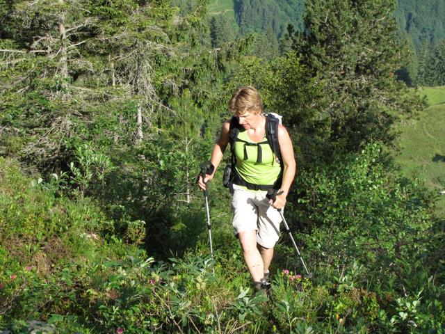 Mäusi nach der Lufthütte, auf der Suche nach dem besten Weg