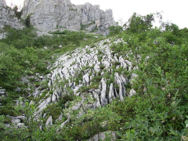 der Weg ist aber nicht ganz einfach. Über Karrenfelder und Gebüsche geht es aufwärts