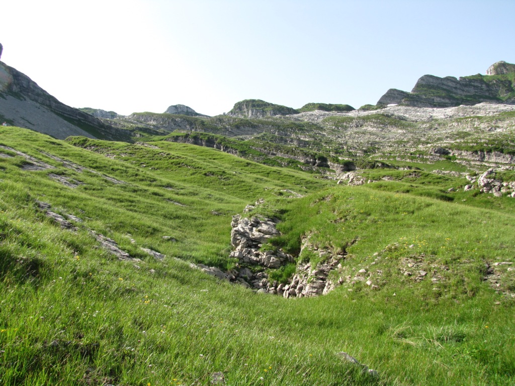 auf der Alp Mutteri 1660 m.ü.M.