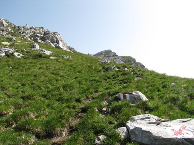 wir haben die Torberglücke erreicht