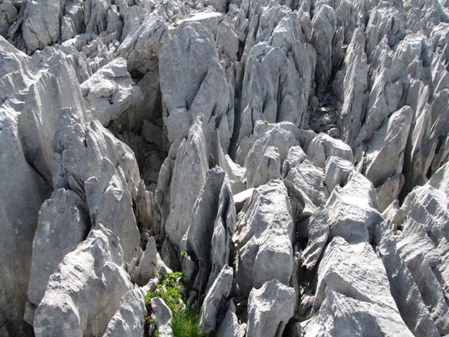 zwischen und über Gräben, Spalten und messerscharfen Felsen, verläuft der Weg aufwärts zum Gipfel