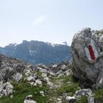 bei der Torberglücke mit Blick zum Glärnisch