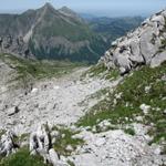 auf dem Weg zur Alp Mutteri. Im Blick der Fluebrig