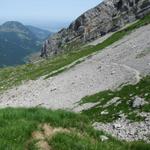 Bei Punkt 1660 m.ü.M. wandern wir jetzt nicht mehr zur Lufthütte sondern nach Lauibüel. Neue Wegführung