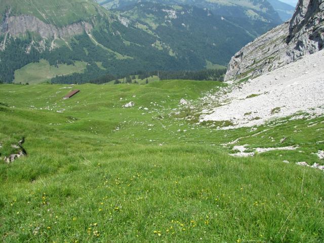 auf der Alp Rederten