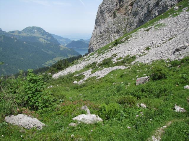 kurz vor Lauibüel 1493 m.ü.M.