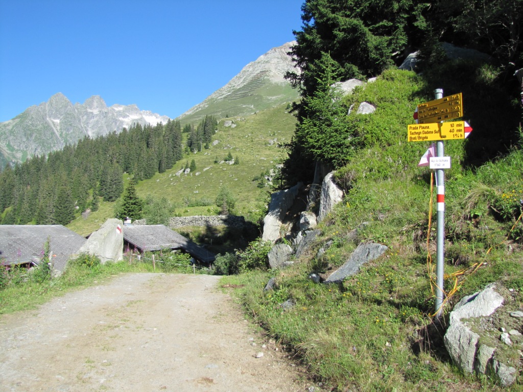 mit dem Auto bis nach Alp da Schlans Sut gefahren