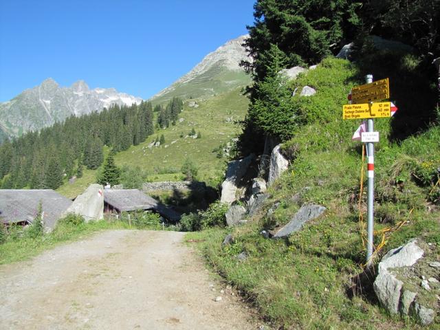 mit dem Auto bis nach Alp da Schlans Sut gefahren