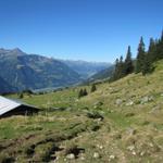 bei den Alphütten von Alp da Schlans Sut 1723 m.ü.M. mit Blick Richtung Disentis