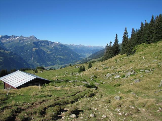 bei den Alphütten von Alp da Schlans Sut 1723 m.ü.M. mit Blick Richtung Disentis