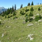 auf der Alp da Schlans