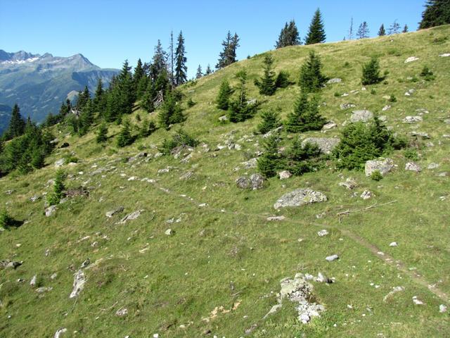 auf der Alp da Schlans