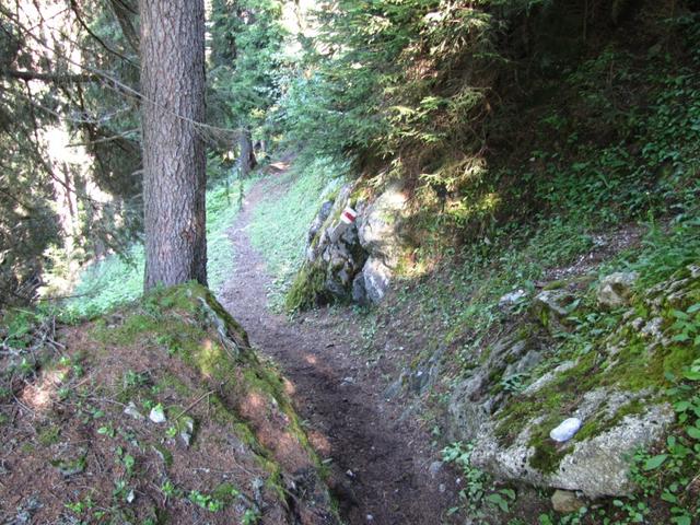 kurz nach Punkt 1759 m.ü.M. auf dem Weg zur Val Punteglias