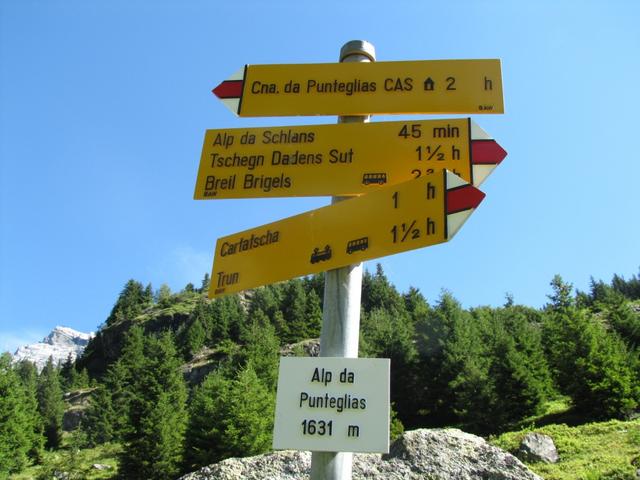 Wegweiser bei der Alp da Punteglias 1631 m.ü.M.