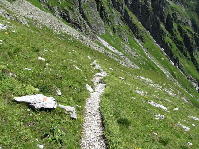 wir haben die Camona da Punteglias verlassen und laufen auf dem gleichen Weg wieder zurück