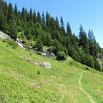 kurz nach Punkt 1635 m.ü.M. auf dem Weg Richtung Alp da Schlans Sut