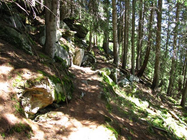 im schönen Föhrenwald kurz vor Punkt 1743 m.ü.M.