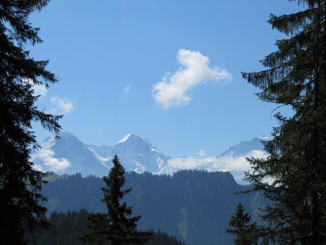 Eiger, Mönch und Jungfrau