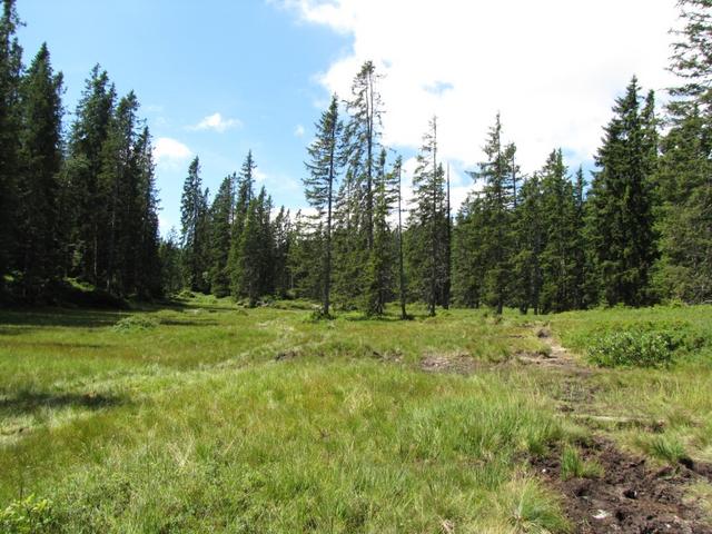 kurz vor dem Grüenenbergpass