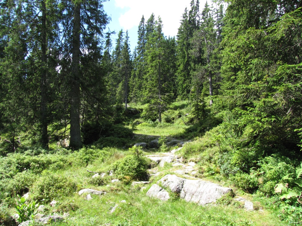 wirklich eine sehr schöne Gegend hier beim Grüenenbergpass