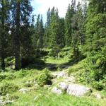 wirklich eine sehr schöne Gegend hier beim Grüenenbergpass