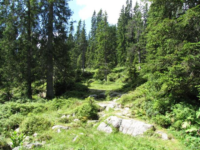 wirklich eine sehr schöne Gegend hier beim Grüenenbergpass