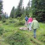 auf dem Weg nach mittler Seefeld