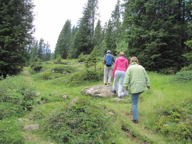 auf dem Weg nach mittler Seefeld