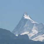 Blick zum Finsteraarhorn