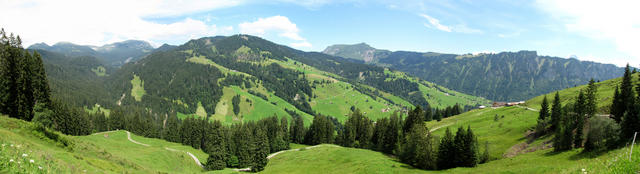 Breitbildfoto mit Blick Richtung Habkern. Im Hintergrund der Augstmatthorn