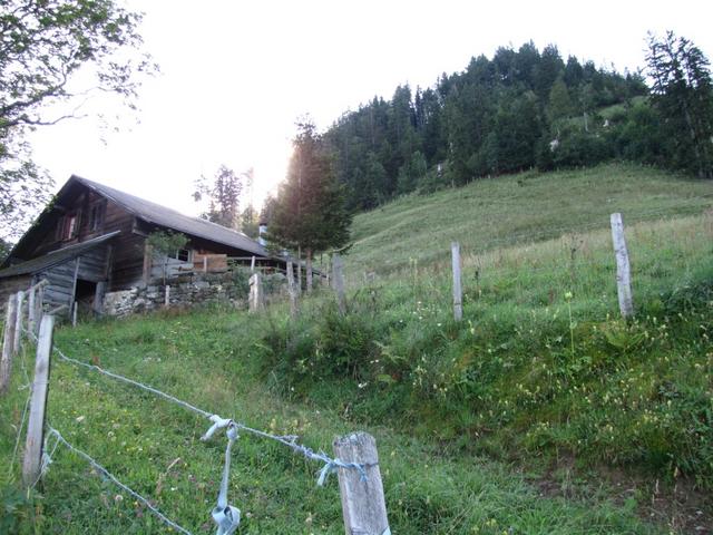 rechts an der Alphütte vorbei, geht es fast weglos steil aufwärts zum Stucklichrüz