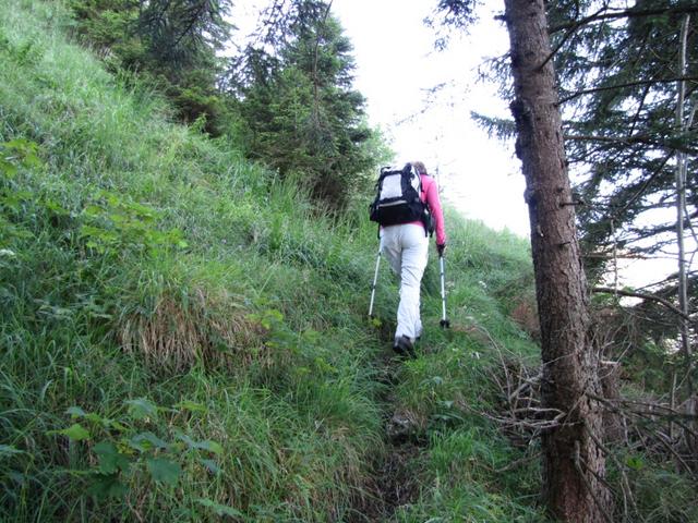 der Weg führt steil aufwärts. Zwischendurch ist der nicht markierte Pfad ersichtlich