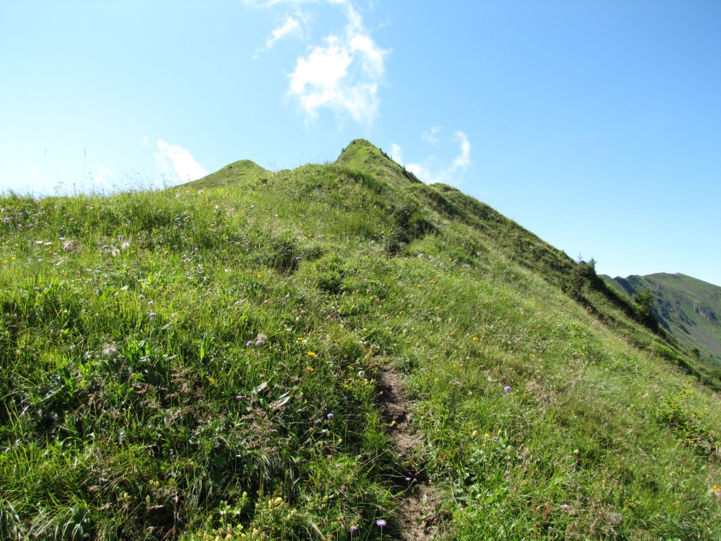 der Bergpfad der zum Arnigrat führt