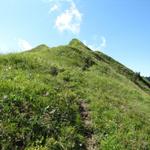 der Bergpfad der zum Arnigrat führt