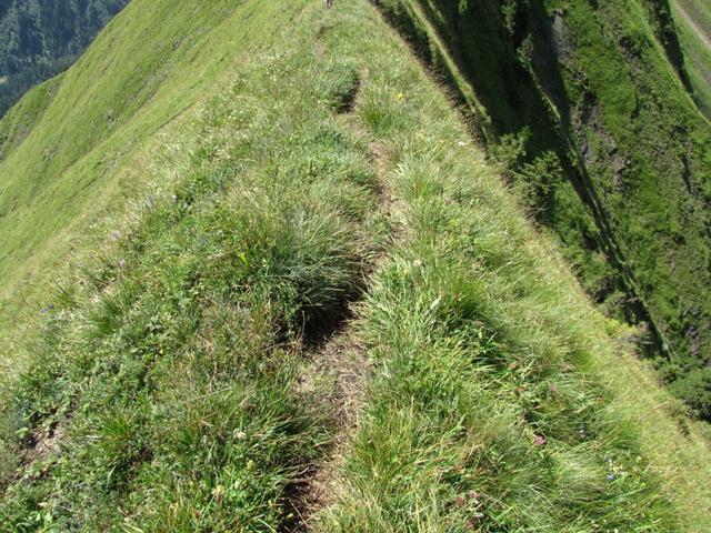 teilweise auf knappen Wegspuren, in steilen Grasflanken, führt der Pfad Richtung Wandelen