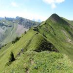 wie Gendarmen stehen die grasbewachsenen Kalkbuckel im Weg und müssen überstiegen werden