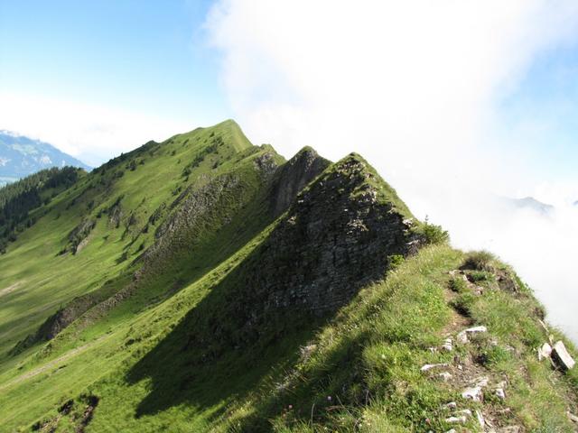 Blick zurück