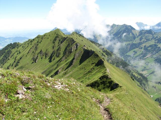 Blick zurück