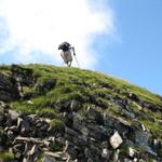 Rolf auf dem Astelhorn