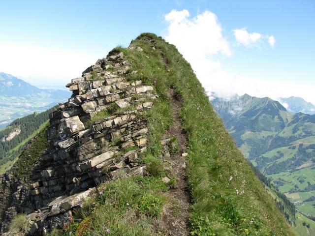 Blick zurück. Was für ein Gratweg !