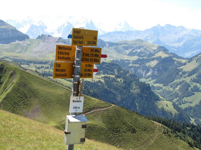 Wegweiser auf dem Wandelen