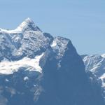 Blick zum Wetterhorn